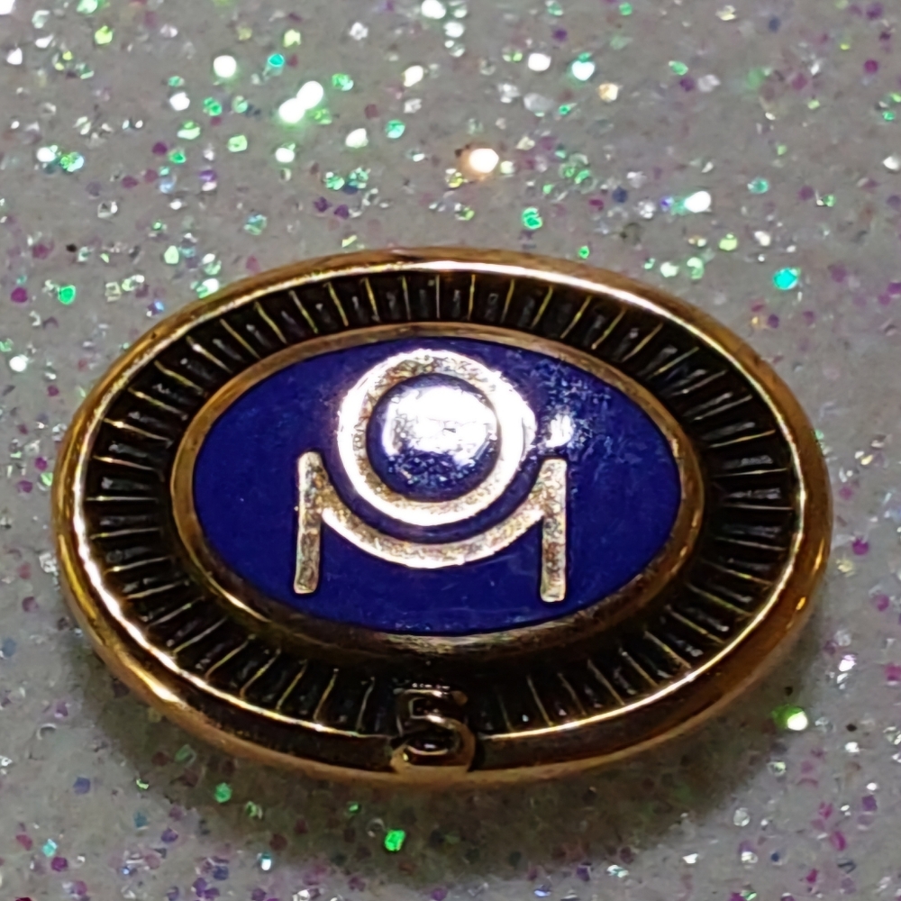 10k Gold and Enamel Oval Men's Lapel Pin